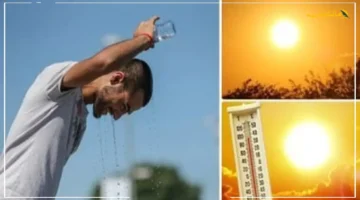 36 درجة بالقاهرة.. الطقس اليوم يشهد ارتفاعًا جديدًا وشبورة صباحًا هل تستمر الأجواء الحارة؟ 1